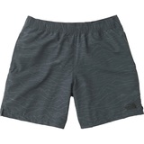 THE NORTH FACE(ザ･ノース･フェイス) NOVELTY VERSATILE SHORT Men’s NB41632 ハーフ･ショートパンツ(メンズ)