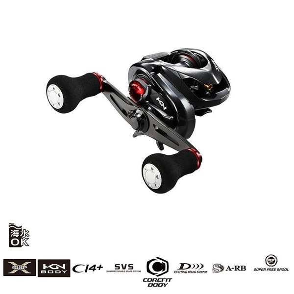 シマノ(SHIMANO) 16 スティーレ 100HG(右) 037855