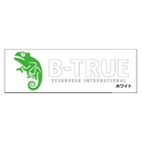 エバーグリーン(EVERGREEN) B-TRUE ボートディカル   ステッカー