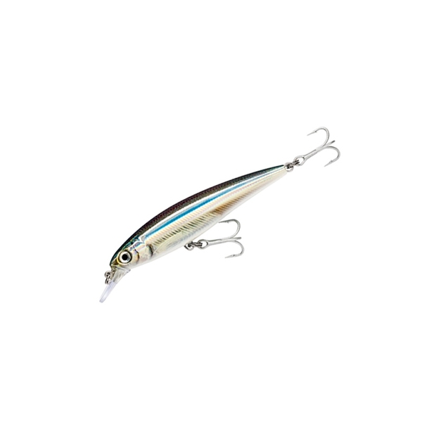 Rapala(ラパラ) Saltwater X-Rap(ソルトウォーター X-ラップ) SXR10-ANC ミノー(リップ付き)