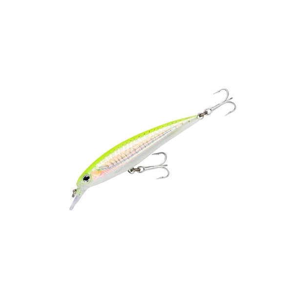 Rapala ラパラ Saltwater X Rap ソルトウォーター X ラップ Sxr10 Hchu アウトドア用品 釣り具通販はナチュラム