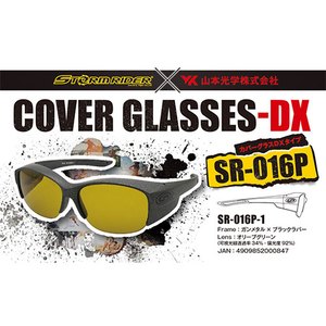 ストームライダー(STORM RIDER) SR-016-P COVER GLASSES-DX