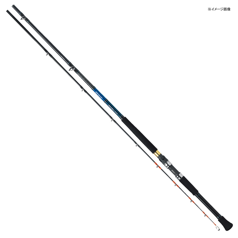 ダイワ ディープゾーン X 120-210 (ロッド・釣竿) 価格比較 - 価格.com