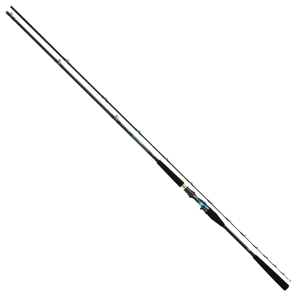 ダイワ(Daiwa) 剣崎 30-270MT 05500052