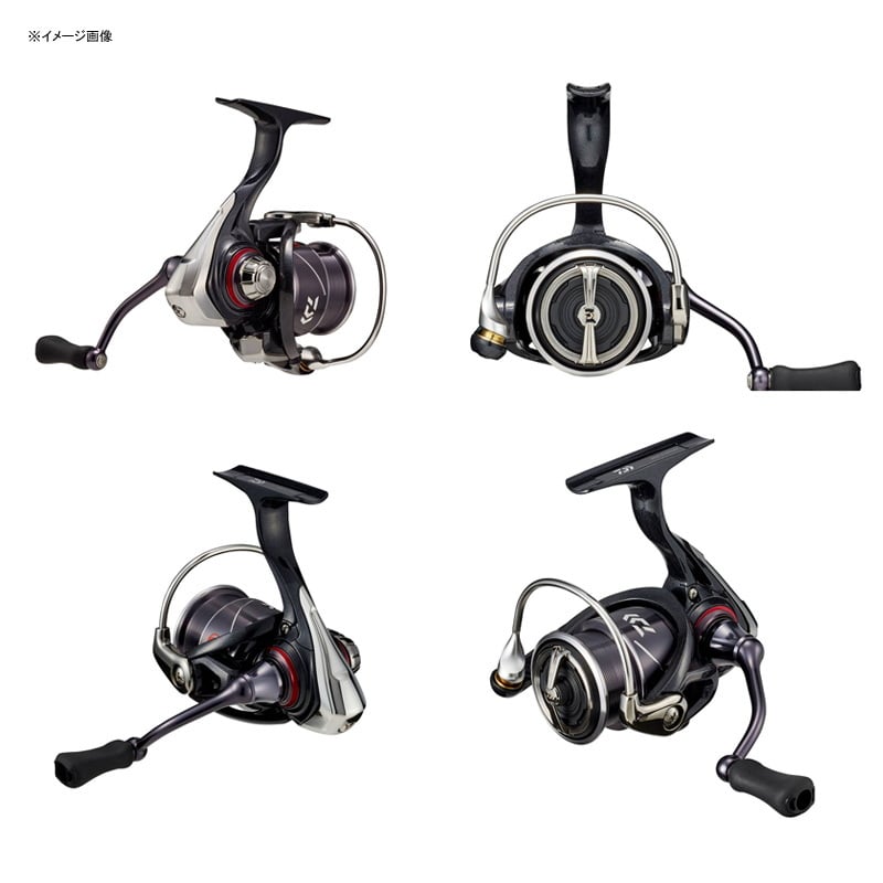 ダイワ(Daiwa) 20月下美人X LT2000S-P 00060301｜アウトドア用品・釣り