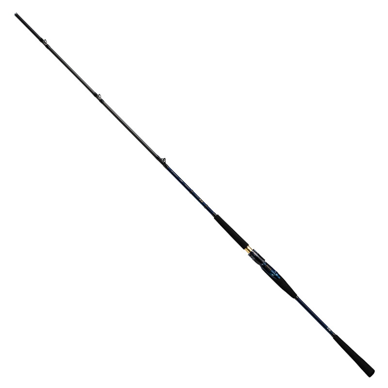 ダイワ(Daiwa) 極鋭ヒラメ M-240・R 05500442｜アウトドア用品