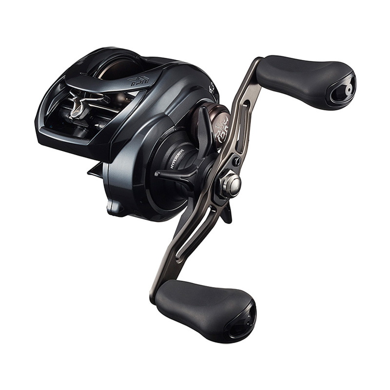 ダイワ(Daiwa) TATULA(タトゥーラ) TW 300L 左巻き 00630102