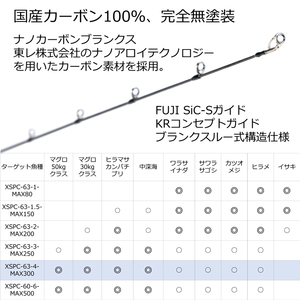 Denali Lithium Casting Rod