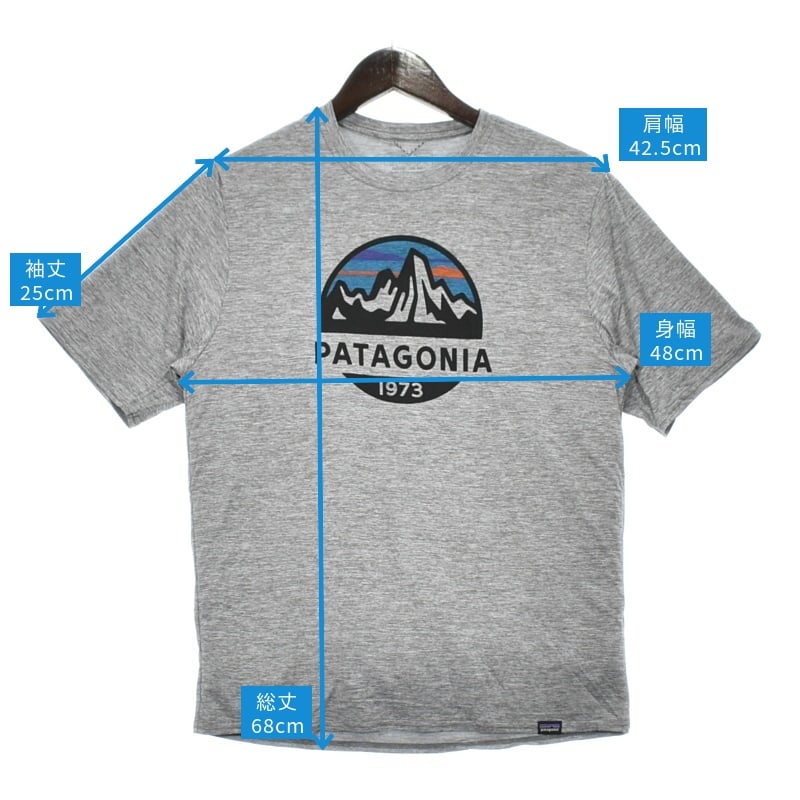 パタゴニア(patagonia) キャプリーン クール デイリー グラフィック シャツ メンズ  45235｜アウトドアファッション・ギアの通販はナチュラム