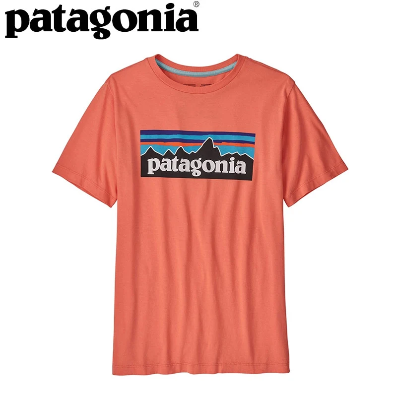 ブランド patagonia - ケン様用 パタゴニア ポケット付Tシャツ 2着同梱