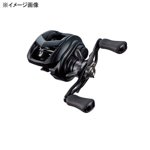 ダイワ(Daiwa) タトゥーラ TW 80L 左ハンドル 00630112