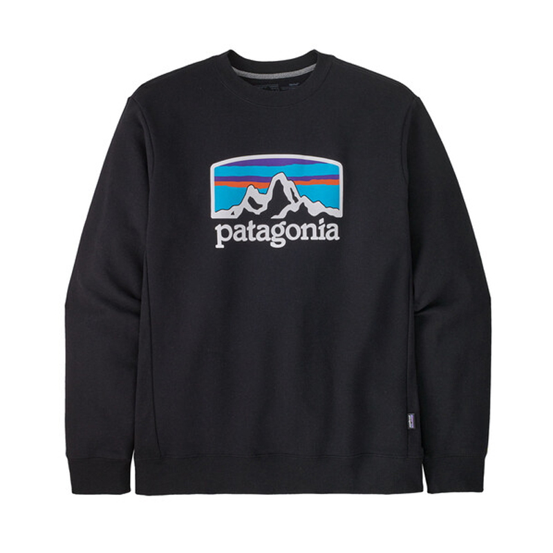 本日発送！2020年新作⭐︎Patagonia クルースウェット - スウェット