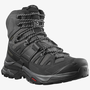 【送料無料】SALOMON(サロモン) 【２５春夏】ＱＵＥＳＴ ４ ＧＯＲＥ-ＴＥＸ（クエスト ４ ゴアテックス） ２６．０ｃｍ ＭＡＧＮＥＴ／ＢＬＡＣＫ／ＱＵＡＲＲＹ L41292600