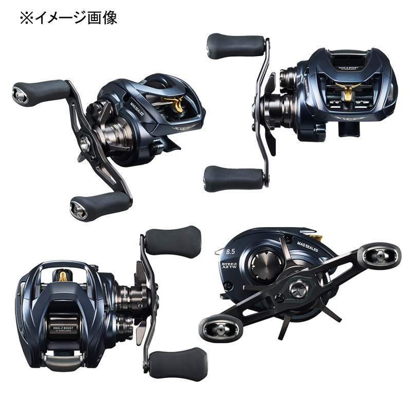 ダイワ(Daiwa) STEEZ AII TW 1000(スティーズA2TW) 右ハンドル