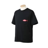 MAZUME(マズメ) mazume プライムフレックスTシャツ TUNA MZAP-764 フィッシングシャツ