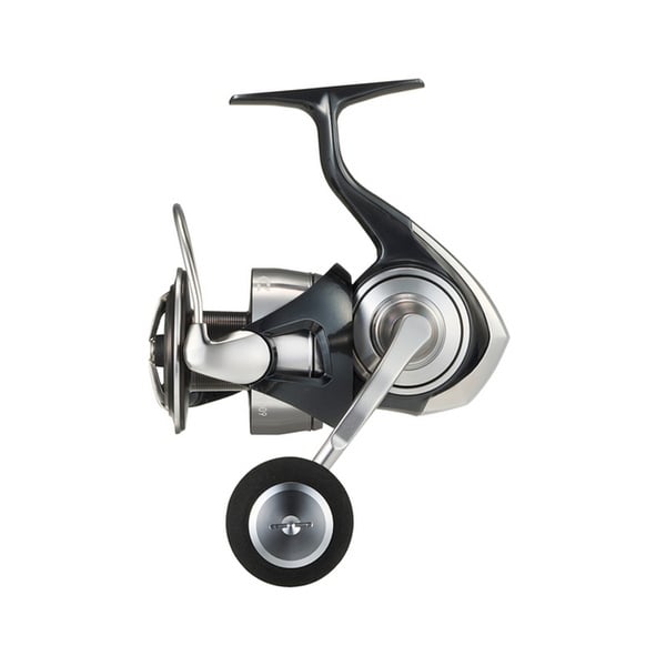 ダイワ(Daiwa) 24セルテート SW 6000-P 00065187 6000～8000番