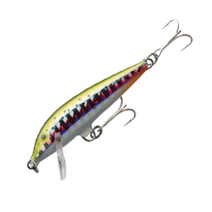 Rapala(ラパラ) ＣｏｕｎｔＤｏｗｎ ＡＢＡＣＨＩ（カウント ダウン アバシ） ９０ｍｍ ＨＲＴ（ホログラムレインボートラウト） CDA9