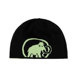 MAMMUT(マムート） Mammut Logo Beanie(マムート ロゴ ビーニー) 1191-04891