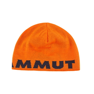 MAMMUT(マムート） Mammut Logo Beanie(マムート ロゴ ビーニー) 1191-04891