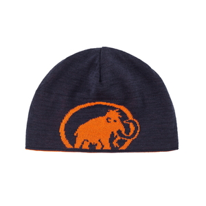 MAMMUT(マムート） Ｍａｍｍｕｔ Ｌｏｇｏ Ｂｅａｎｉｅ（マムート ロゴ ビーニー） ＯＮＥ ＳＩＺＥ ＡＺＡＬＥＡ-ＮＩＧＨＴ 1191-04891