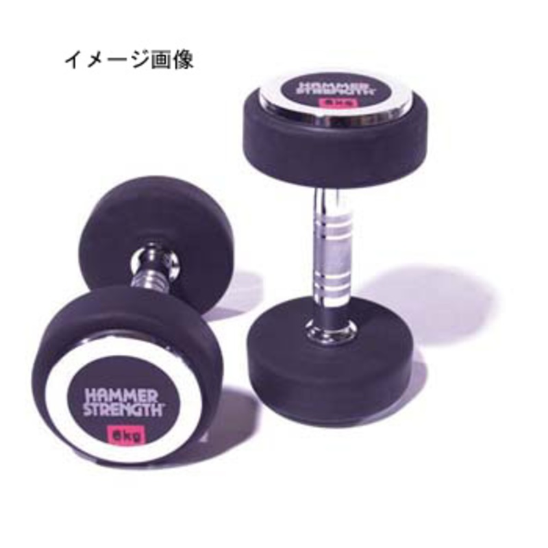 □美品□HAMMER STRENGHT/ハンマー・ストレングス□ダンベルラック 