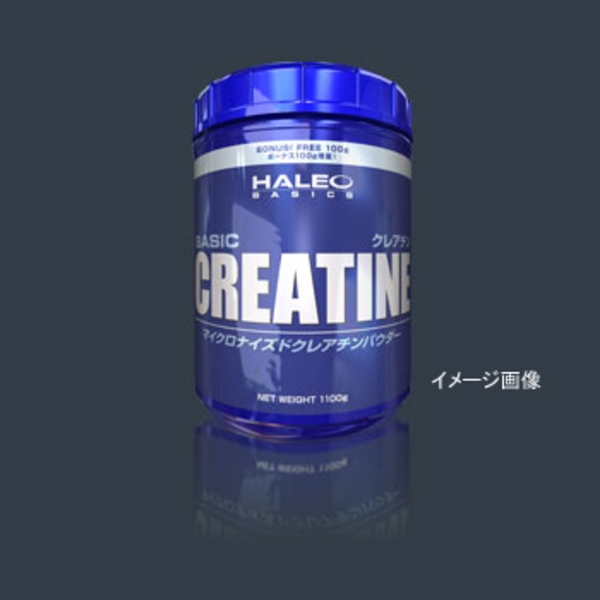 HALEO(ハレオ) クレアチン 500g ｜アウトドア用品・釣り具通販はナチュラム