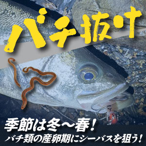 バチ抜け特集