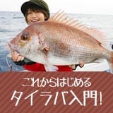 これからはじめるタイラバ入門！