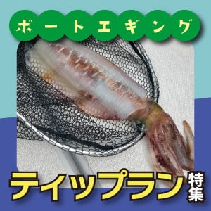 ティップラン　おすすめアイテム特集