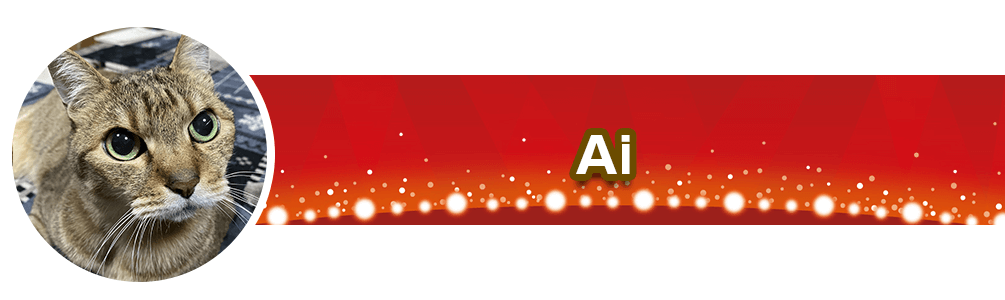 バイヤーAi