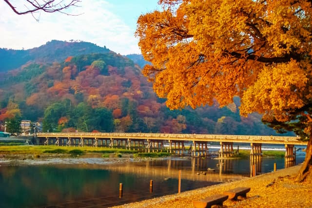 京都の紅葉