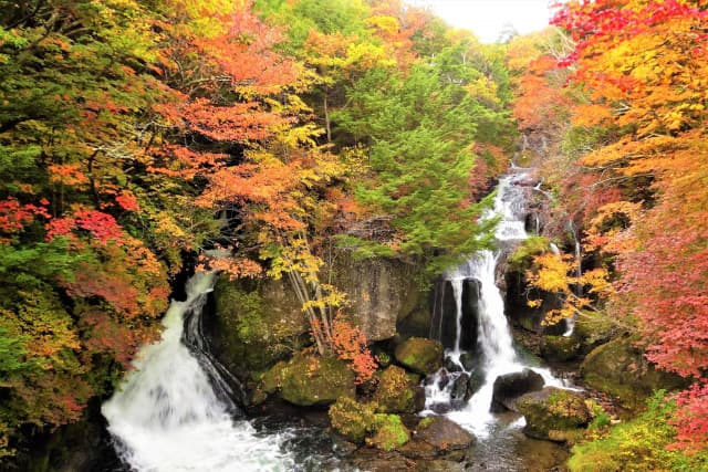 日光の紅葉