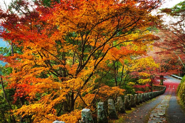 吉野山の紅葉